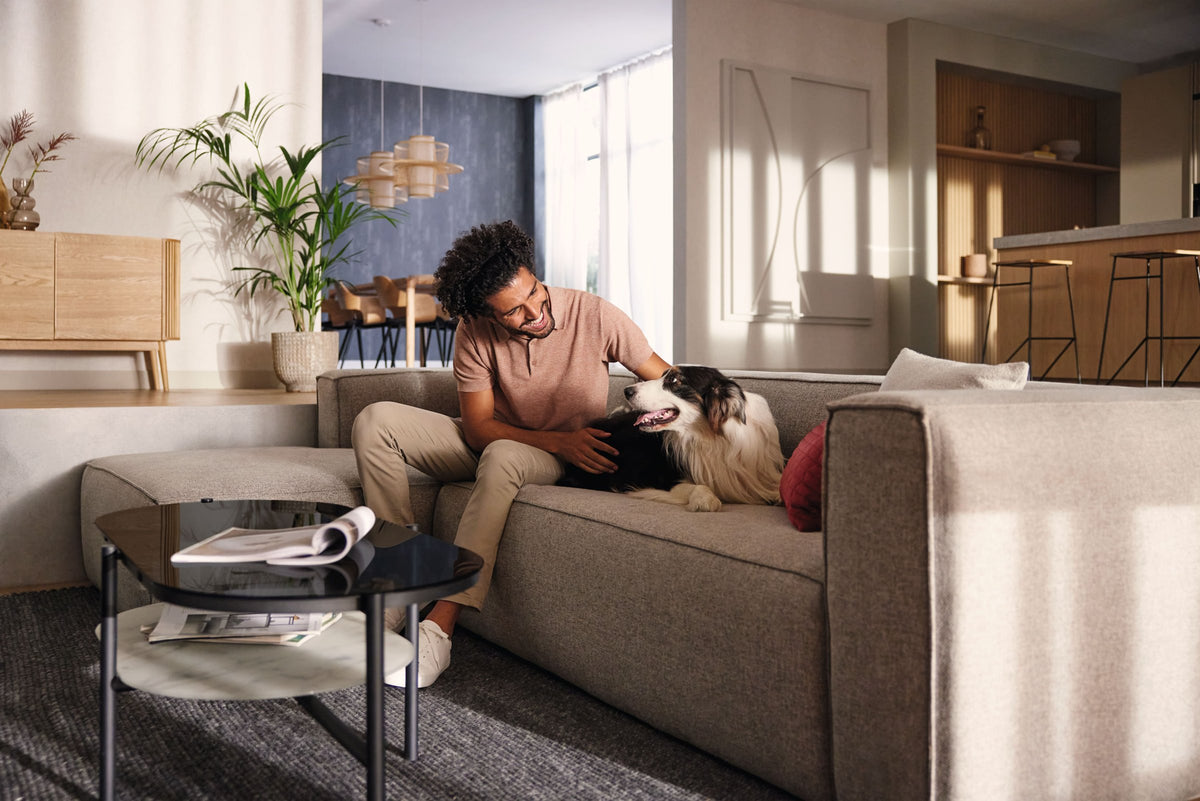 Person klapper en hund i en sofa i en lys stue